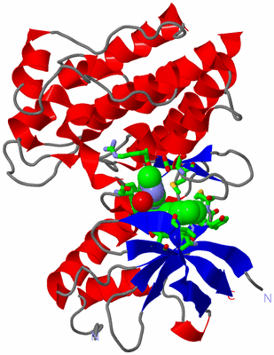 Image Asym./Biol. Unit - sites