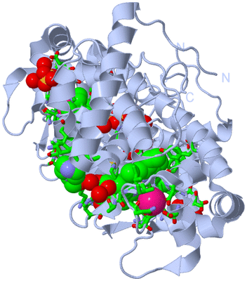 Image Biol. Unit 1 - sites