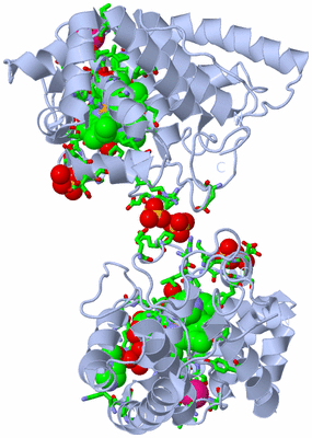 Image Biol. Unit 1 - sites