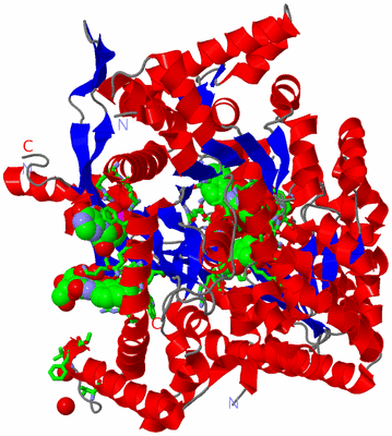 Image Asym. Unit - sites