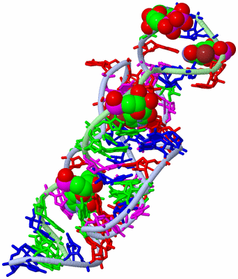 Image Biological Unit 1