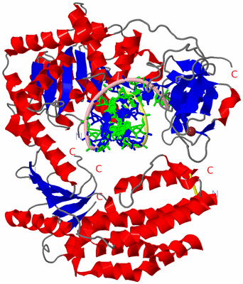 Image Asym./Biol. Unit