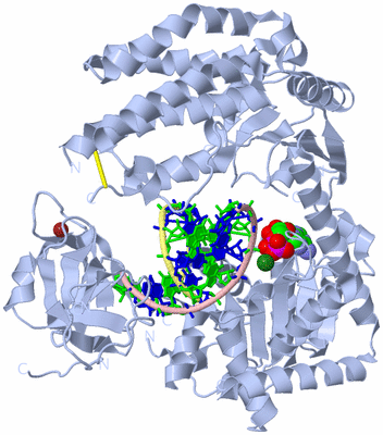 Image Biological Unit 1