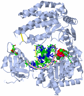 Image Biol. Unit 1 - sites