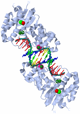 Image Biological Unit 1