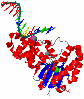 Image Asym./Biol. Unit