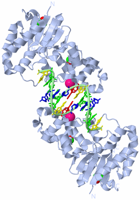 Image Biological Unit 1