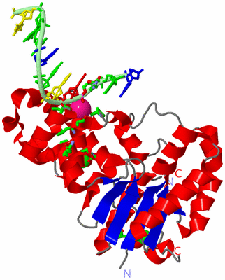 Image Asym. Unit - sites