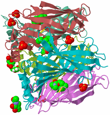 Image Biological Unit 1