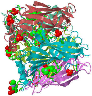 Image Biol. Unit 1 - sites