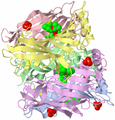 Image Biological Unit 2