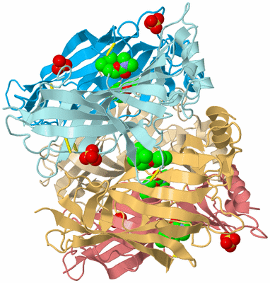 Image Biological Unit 3