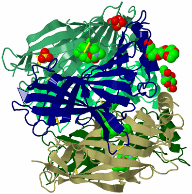 Image Biological Unit 4