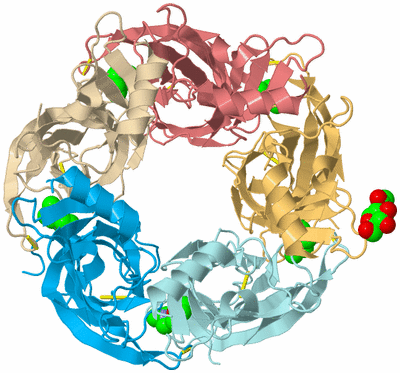 Image Biological Unit 2