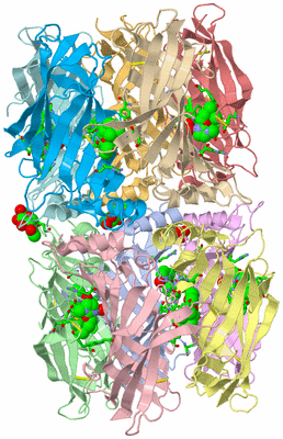 Image Asym. Unit - sites