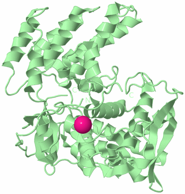 Image Biological Unit 2