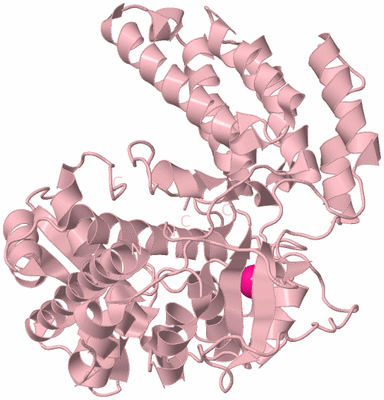 Image Biological Unit 3