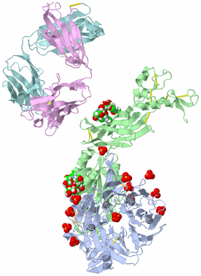 Image Biological Unit 1