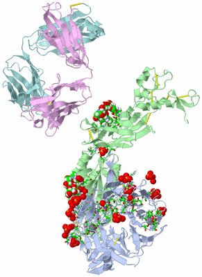 Image Biol. Unit 1 - sites