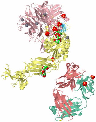 Image Biological Unit 2