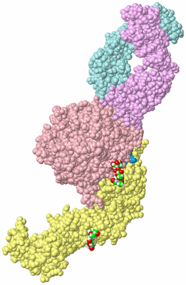 Image Biological Unit 2