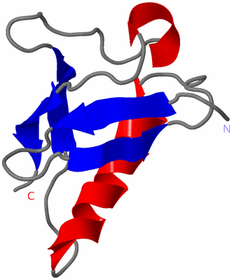 Image Asymmetric Unit