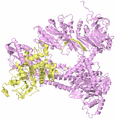 Image Biological Unit 2