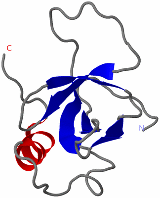 Image NMR Structure - model 1