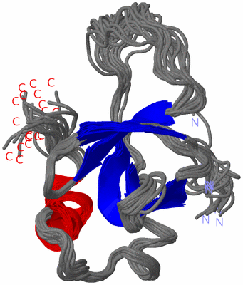 Image NMR Structure - all models