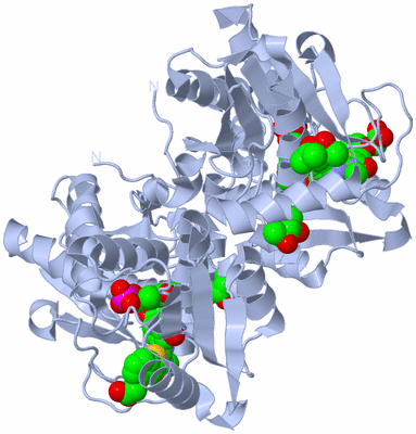 Image Biological Unit 1