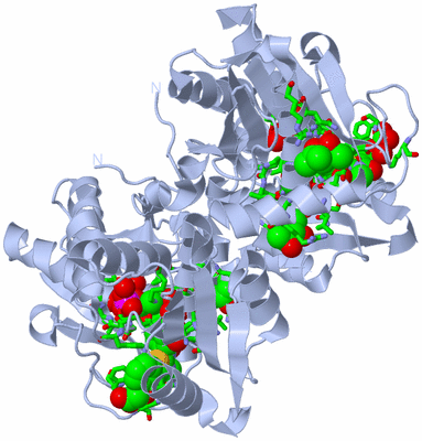 Image Biol. Unit 1 - sites