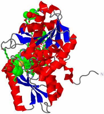 Image Asym. Unit - sites