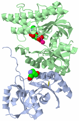 Image Asym./Biol. Unit