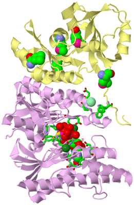 Image Biol. Unit 1 - sites