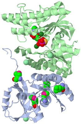 Image Biological Unit 2