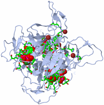 Image Biol. Unit 1 - sites
