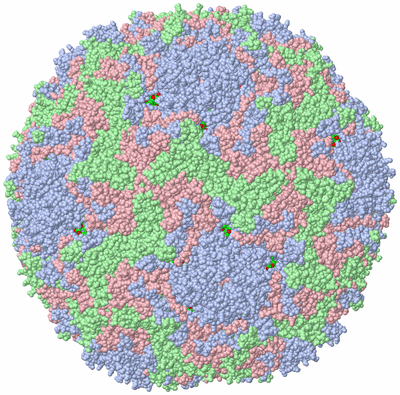 Image Biol. Unit 1 - sites