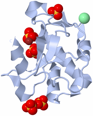 Image Biological Unit 1