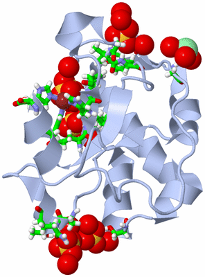 Image Biol. Unit 1 - sites