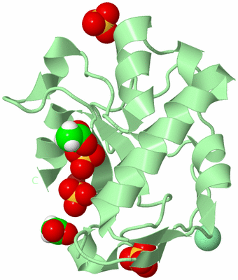 Image Biological Unit 2