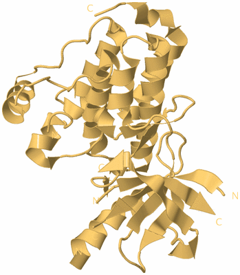 Image Biological Unit 7