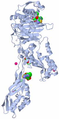 Image Biological Unit 1