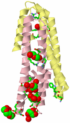 Image Biol. Unit 1 - sites