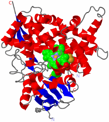 Image Asym./Biol. Unit