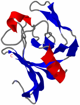 Image NMR Structure - model 1