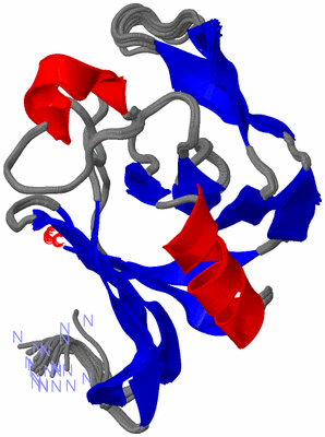 Image NMR Structure - all models