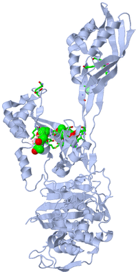 Image Biol. Unit 1 - sites