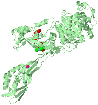 Image Biological Unit 2