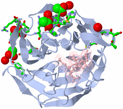 Image Biol. Unit 1 - sites