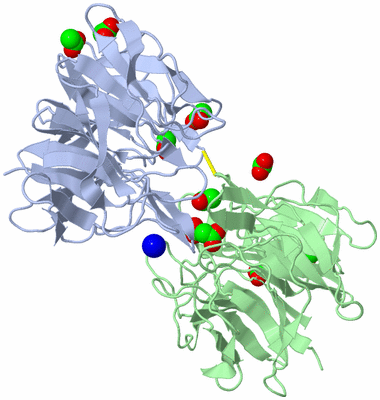 Image Biological Unit 1